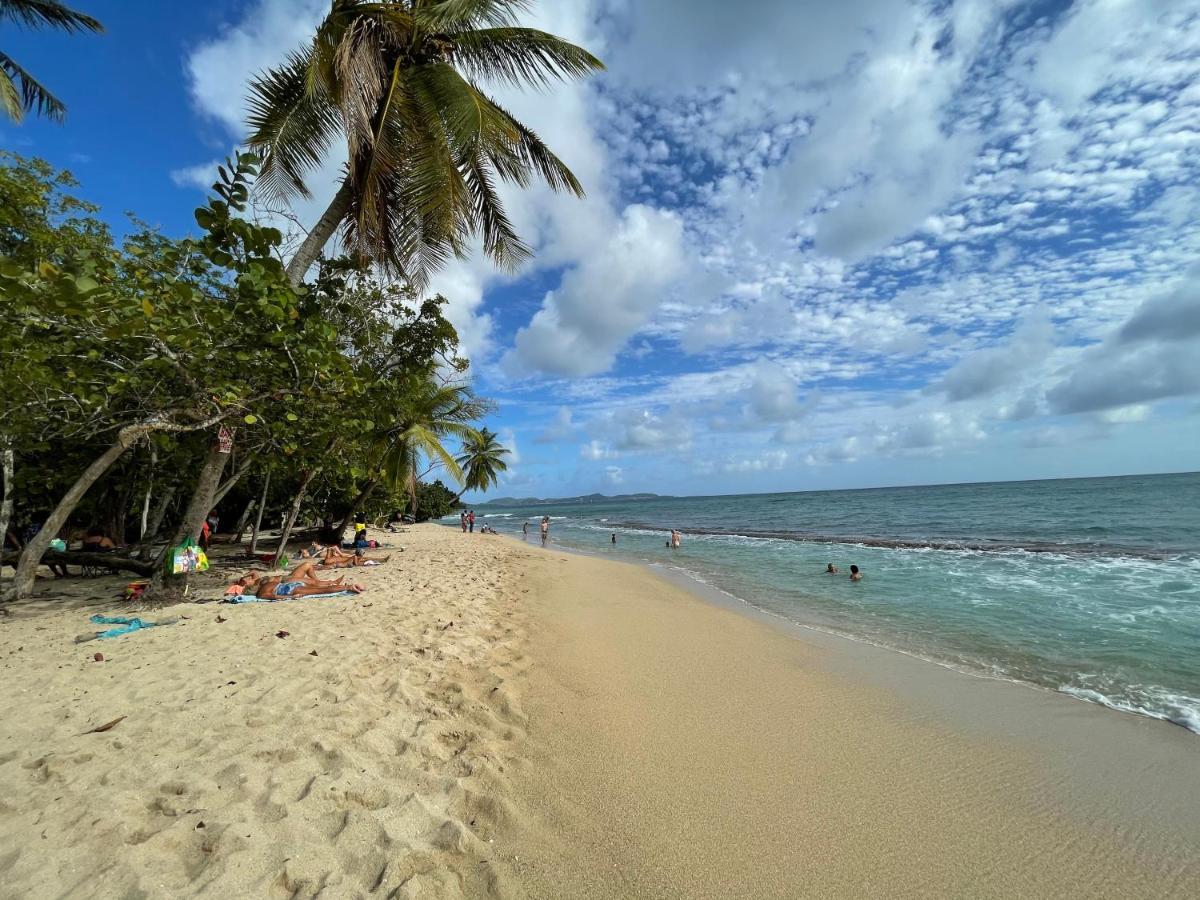 Appartement Vue Mer A 2 Minutes A Pied Des Plages Tartane Trinite  Exterior foto