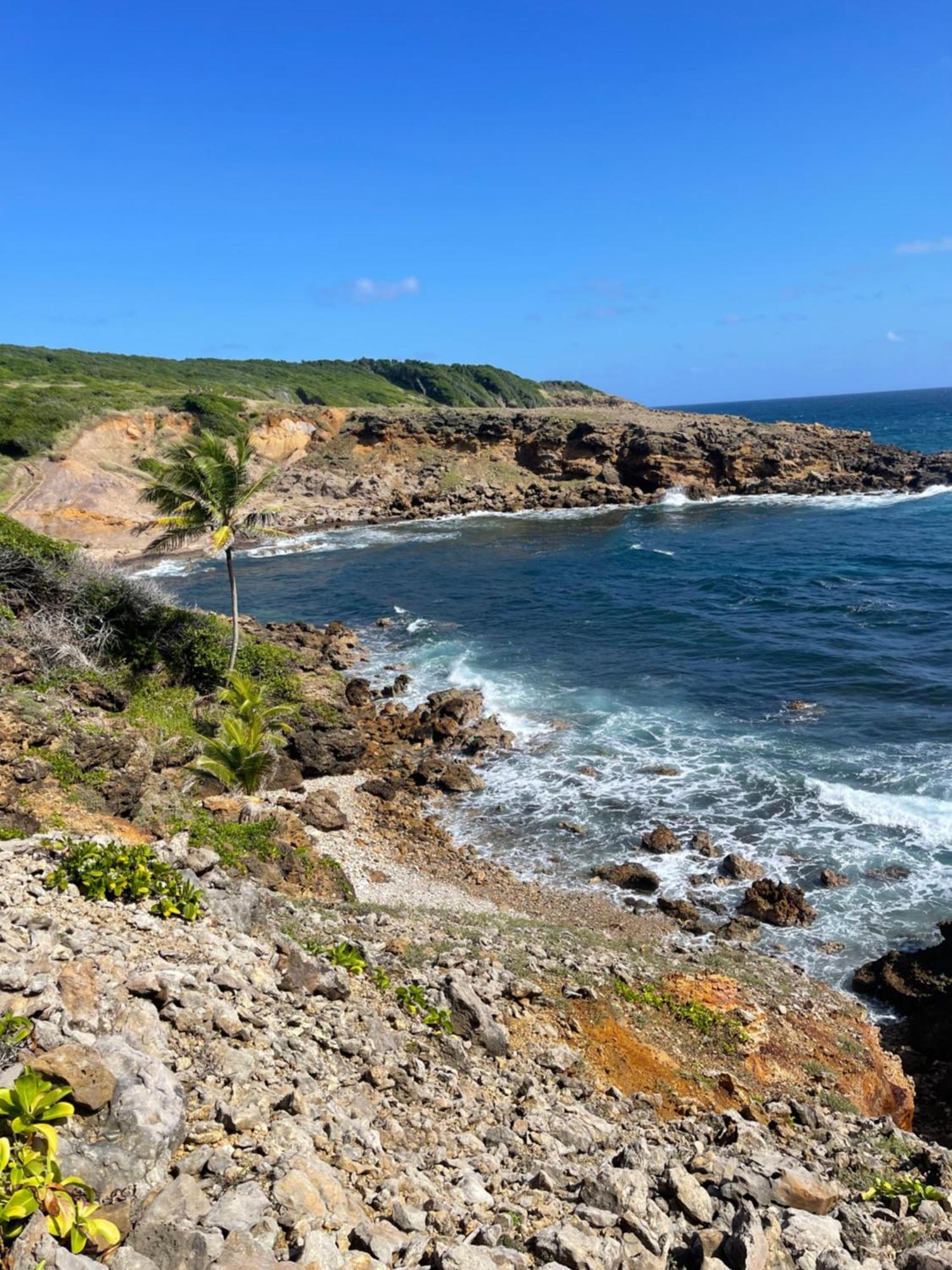 Appartement Vue Mer A 2 Minutes A Pied Des Plages Tartane Trinite  Exterior foto